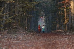 walk & talk in the Viennes forest
