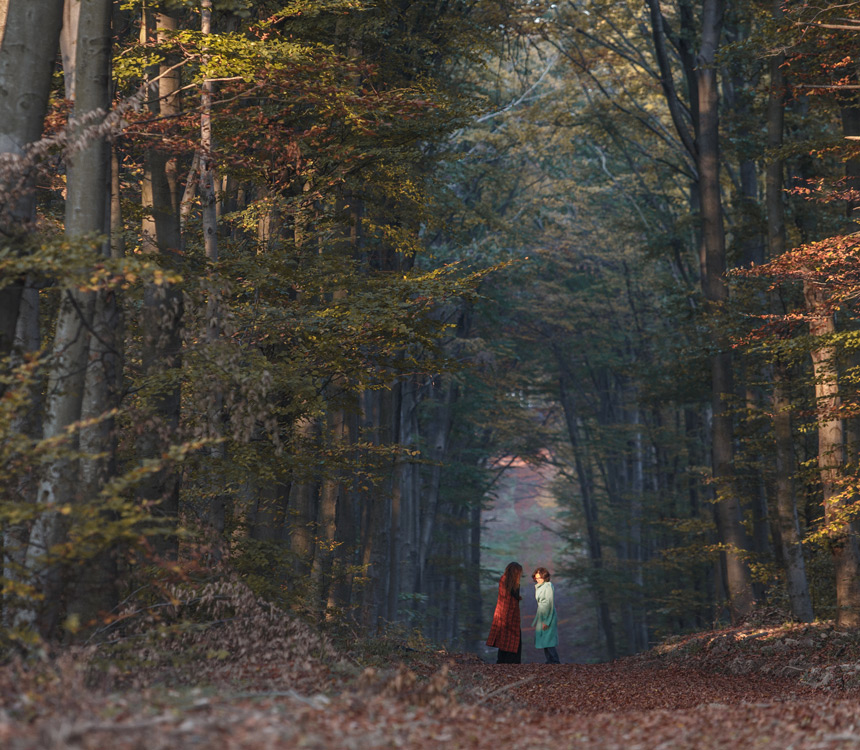 walk & talk in the Viennes forest